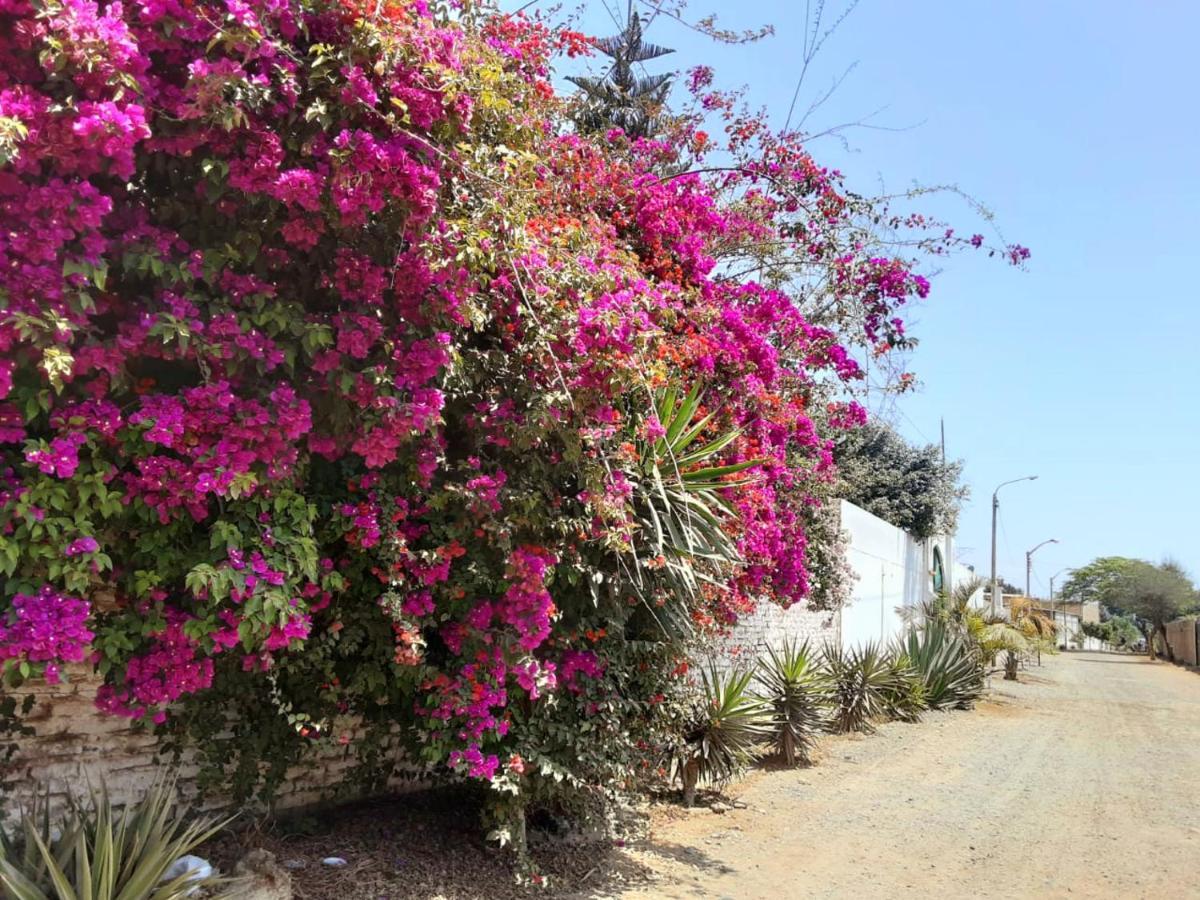 Villa Hospedaje Chanchan Cultural Lodge Trujillo Esterno foto