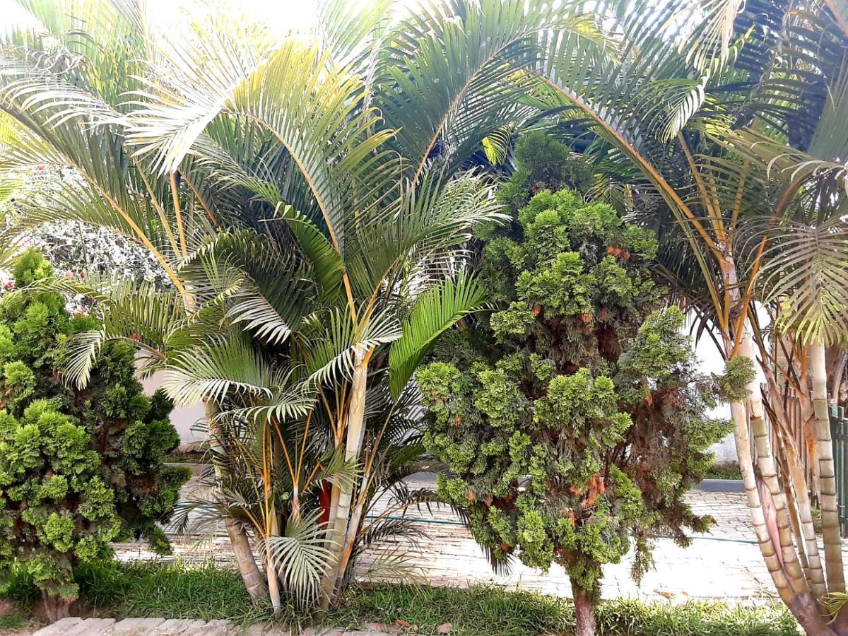 Villa Hospedaje Chanchan Cultural Lodge Trujillo Esterno foto